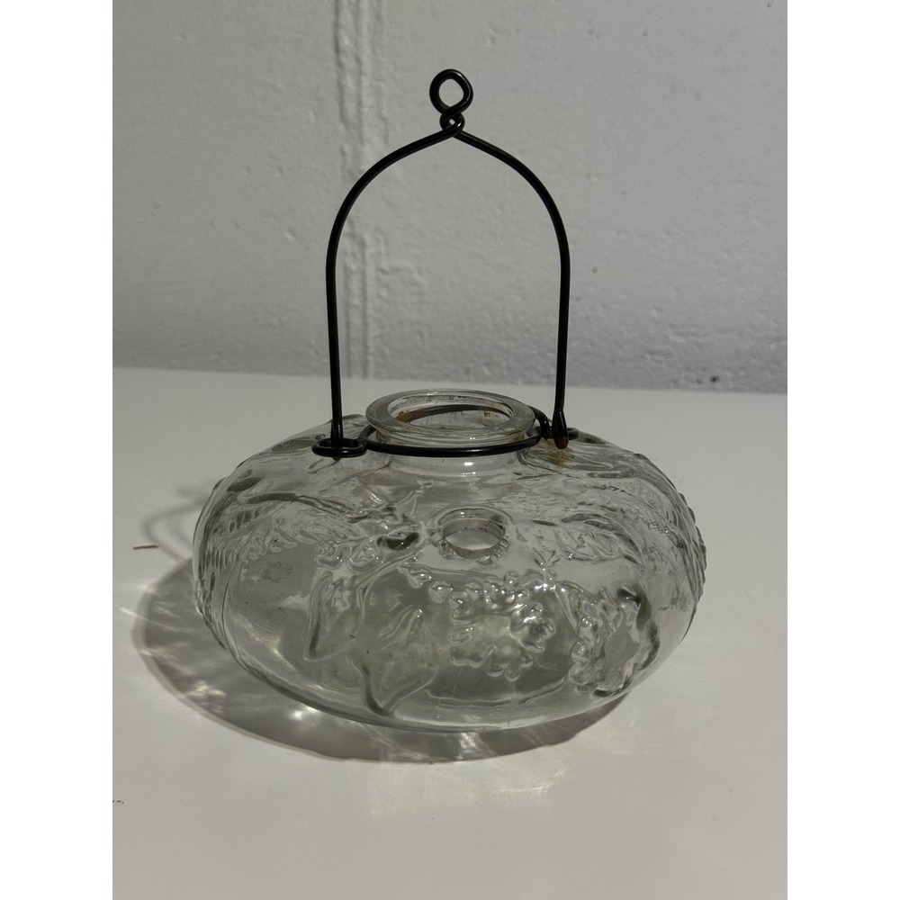 Vintage Clear Embossed Glass Fly Trap Wasp Catcher Hanging Metal Wire Handle
